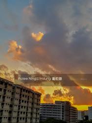 Blk 336 Tampines Street 32 (Tampines), HDB Executive #143974302